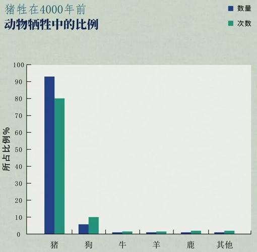 猪周期到底怎么写