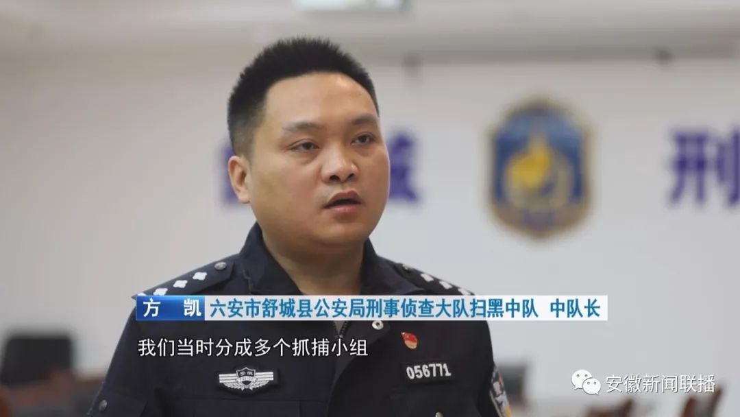 暴力手段强行逼债,舒城这个涉黑组织19人获刑!_六安市