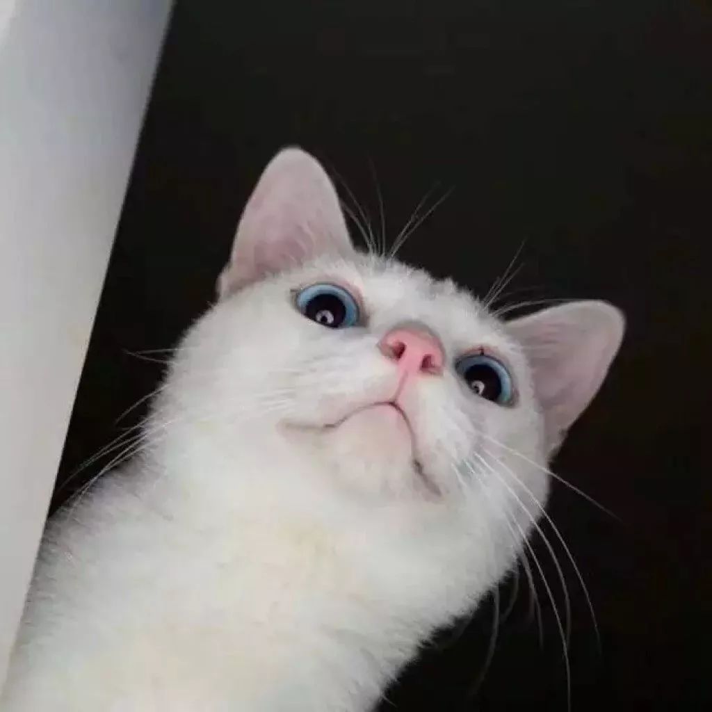 4d7d89e342db4f4282eb7b227d4e8bfc.jpeg