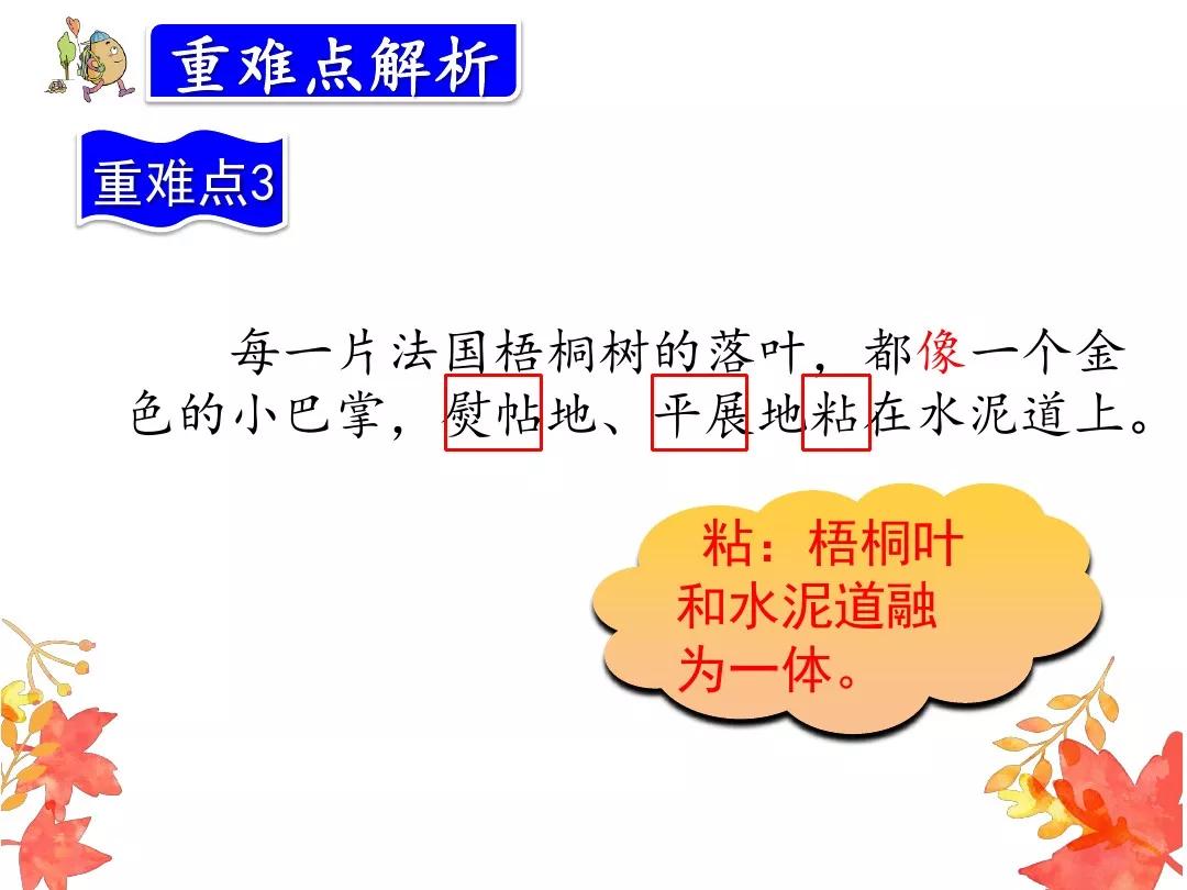 6bcc768debb848858970f00775d0510a.JPG