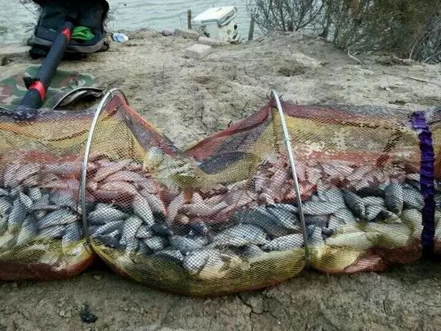 什么是黑坑 6f36cf1c88c94fb9945e581f096d8369.jpeg