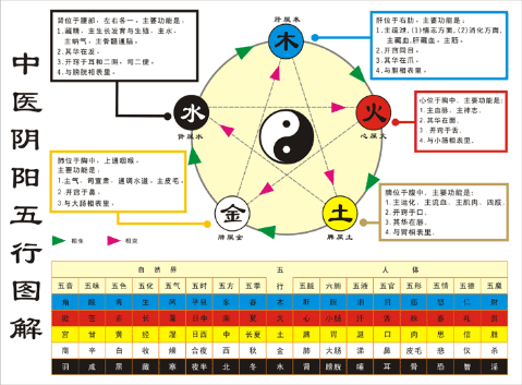 喉咙痛的原理_后溪穴 头项强痛 目赤 耳聋 咽喉肿痛 腰背痛(2)