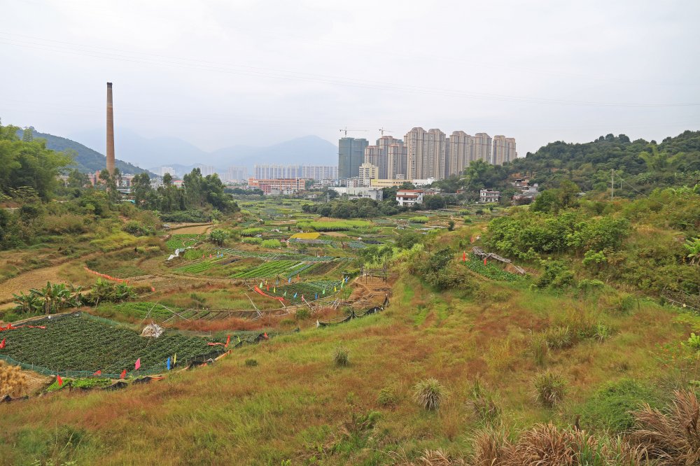 生态宜居宜游新农村——安溪县城厢镇中标村