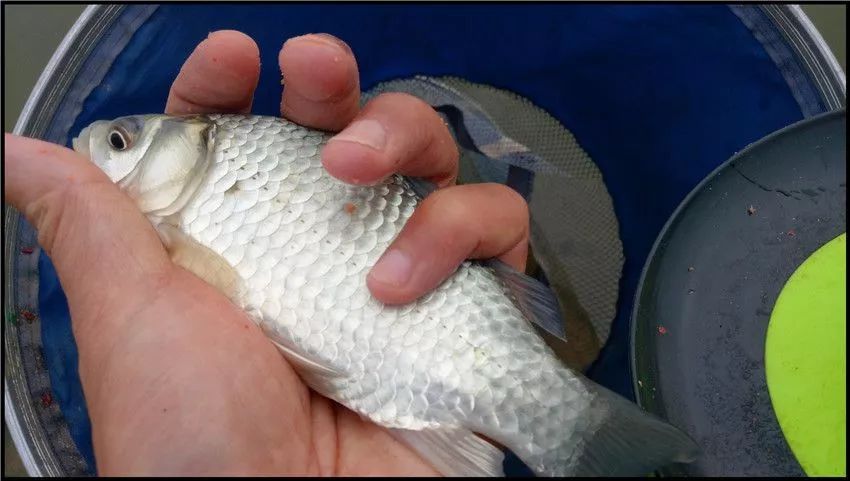 春风得意出自谁手 962b8913b14e47edab3bb6da91a292eb.jpeg