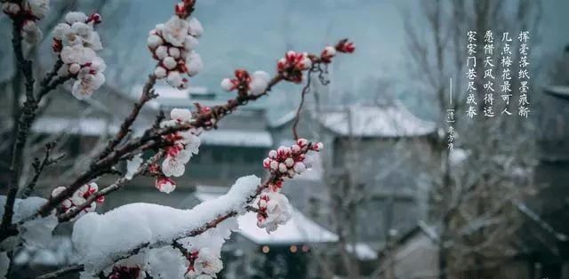 冬雪什么成语_冬雪图片唯美(3)