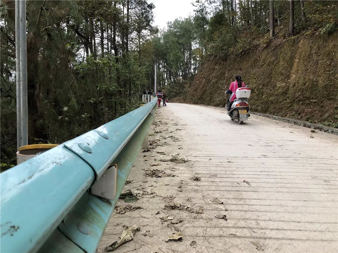 森林资源跟人口普查都是什么_中药资源普查图标