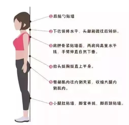 如何靠墙改变骨盆前倾 a700a05e48c843c69771bac16c9354f5.jpeg