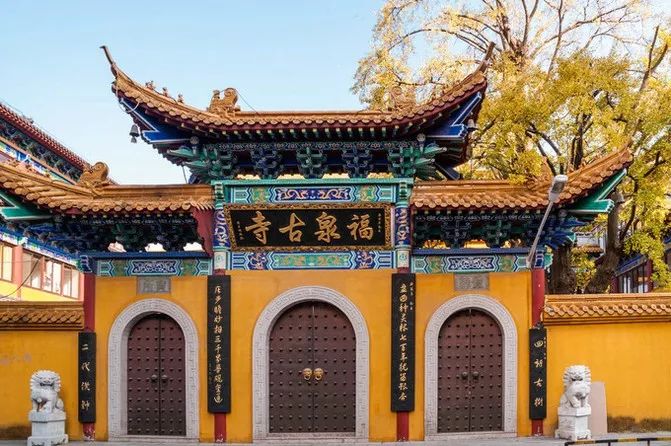 福泉寺内原有古银杏两株,后一株被毁,仅存一株古银杏.