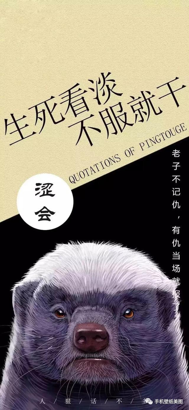 抖音上很火的手机壁纸10w