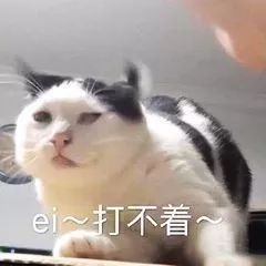 b56c732c2bbd490ea73bbb007df97ae7.jpeg