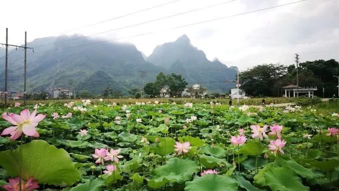 岳阳县风水村有多少人口_岳阳县大成村规划图(3)