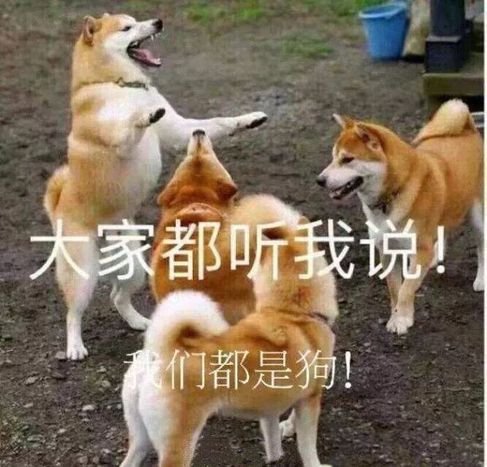 ed0b13b7d6734fee9d8a118b44a9b2cc.jpeg