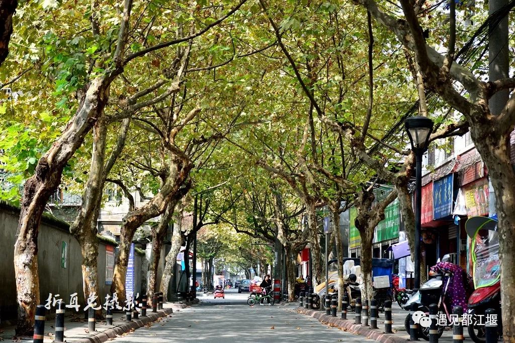 都江堰多少人口_都江堰景区(2)