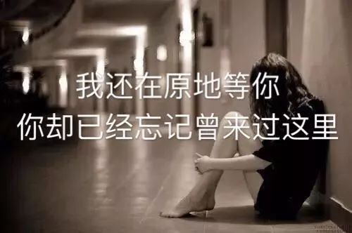 ef297e523de44925865c0ea06011ebc1.jpeg