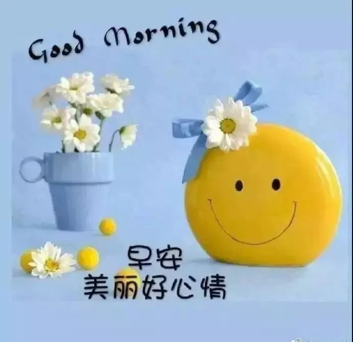 星期六最新漂亮早上好动态美图鲜花带字,早晨好幸福暖