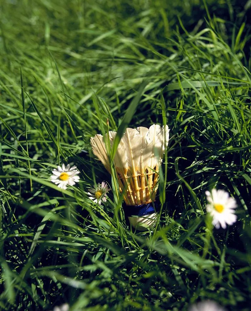 打羽毛球那么辛苦,你是如何年复一年坚持的?