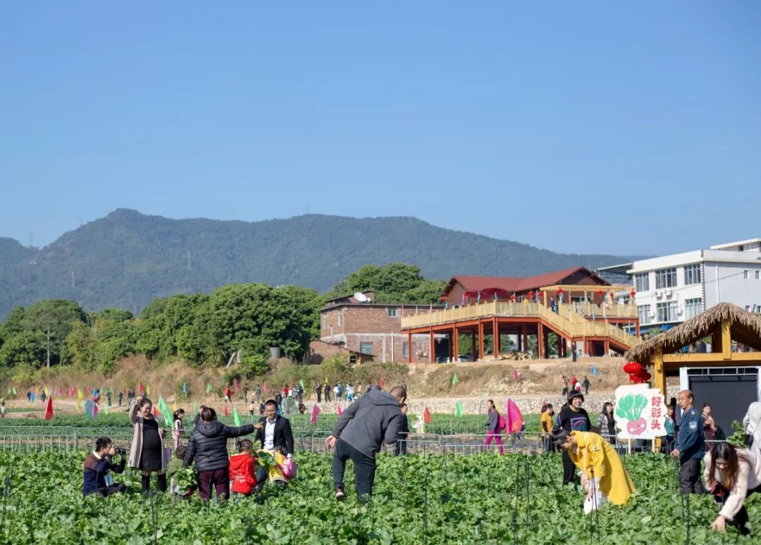 乐在新圩"为主题,由华安县新圩镇人民政府和漳州市