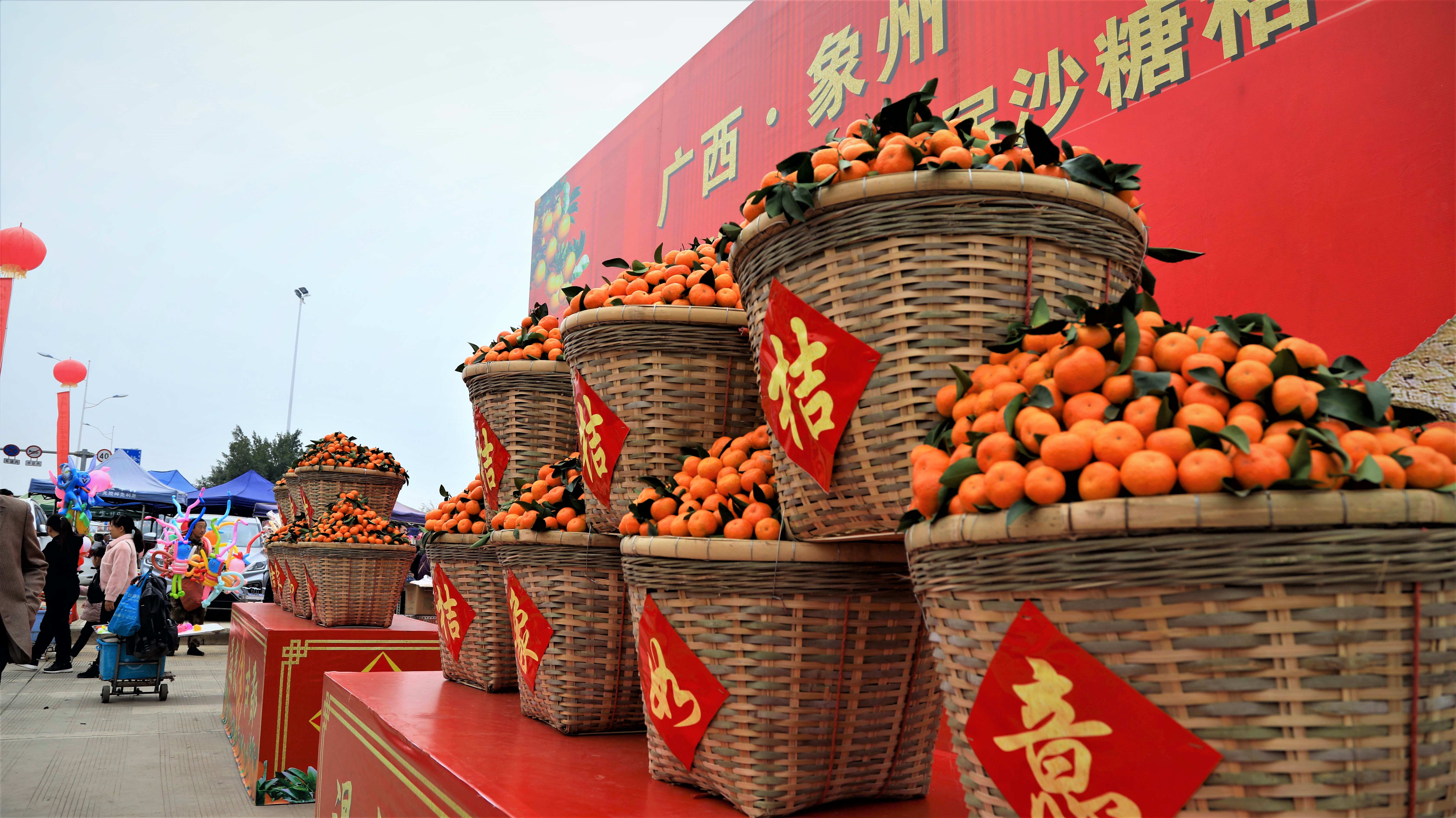 广西象州县隆重举办2019年农民丰收节暨第四届沙糖桔节