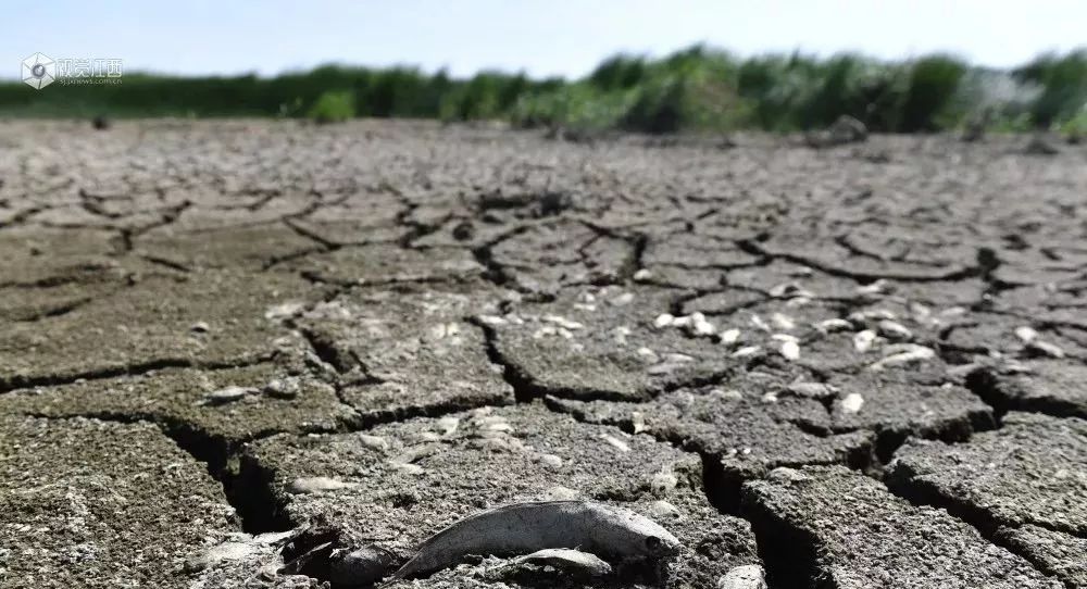 一次什么时候下雨了这多天的天气干燥这一个没注意就是要感冒的节奏!