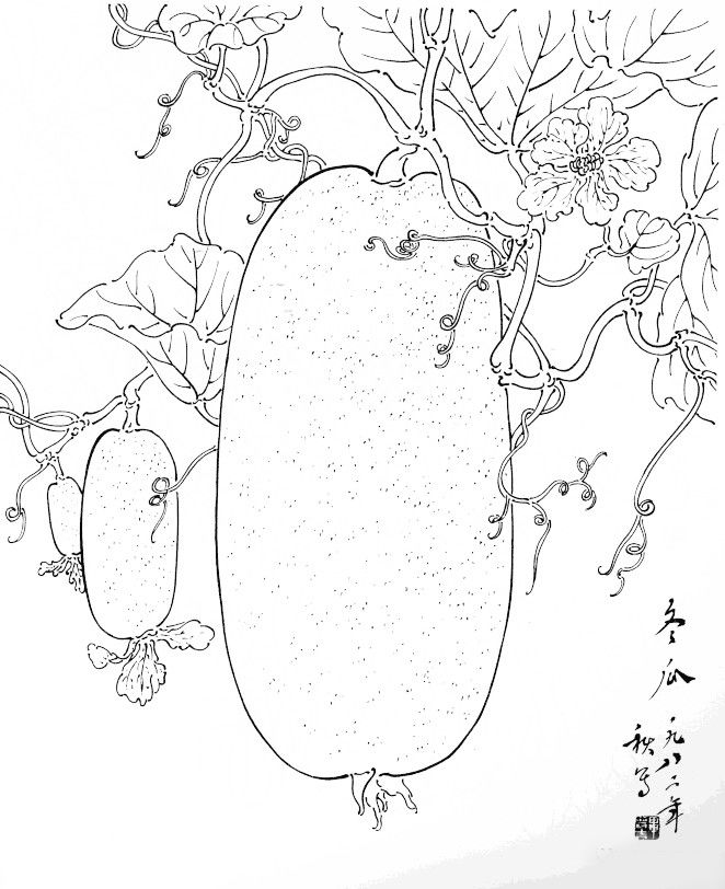 毕晋吉蔬菜水果白描30幅值得观摩