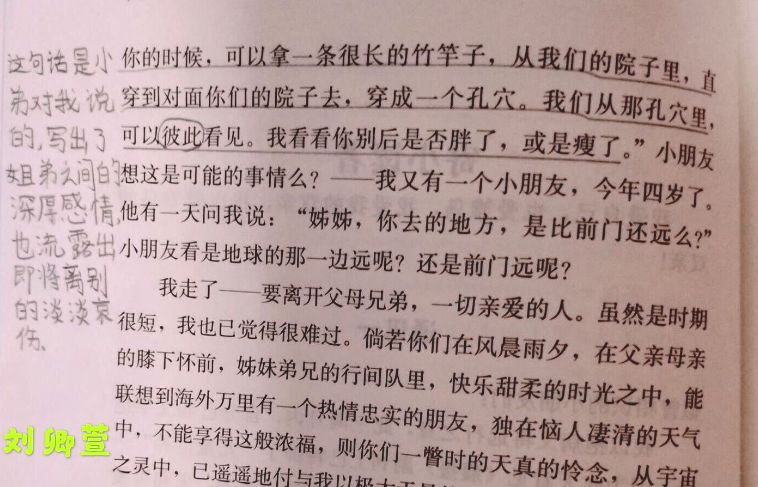 阳光新闻读书点亮生活四年级小书虫读书分享活动