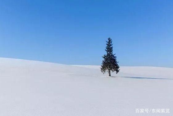 在这个世上：人念人，才能近乎;心捂心，才能热乎