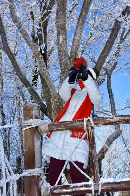 吉林市松花湖滑雪场已经开始出现「雾凇,树上结满白色霜花,银装素裹