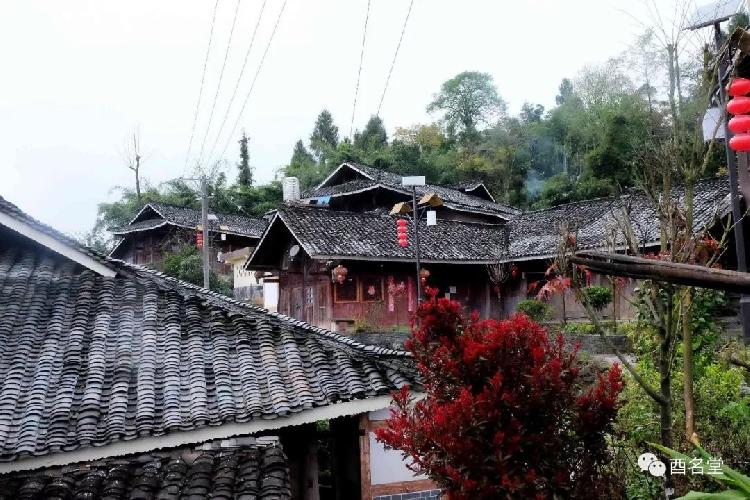 浪坪乡浪水坝村11组小山坡(小地名,酉阳新闻网消息,焕然一新小山坡