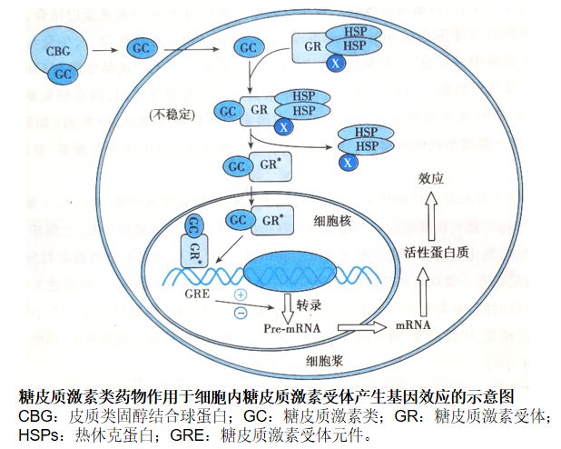 《药理学:解热镇痛抗炎,激素类药物知识点_作用