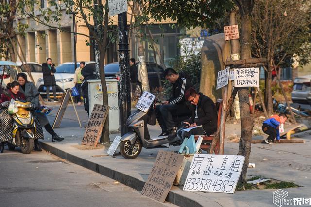 壮观！拆迁户为出租房屋 在树上挂满广告牌 但他们却很发愁OB体育(图1)