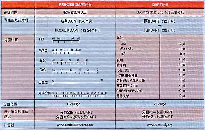 其中,precise-dapt和dapt评分工具的联合应用对患者进行风险评估至关