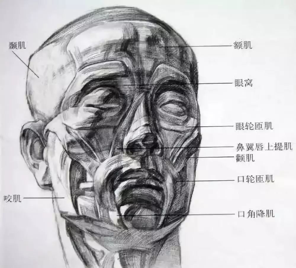 描人口结构_四川省人口年龄结构(2)