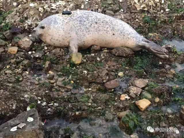 海和盗猜成语_看图猜成语(3)