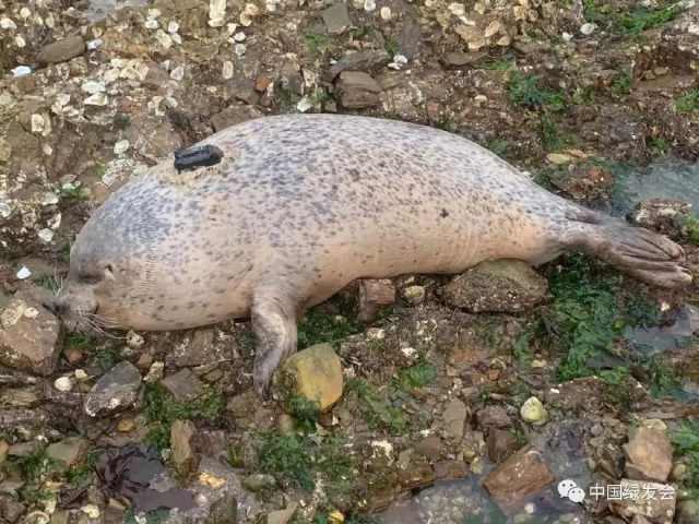 海和盗猜成语_看图猜成语(3)