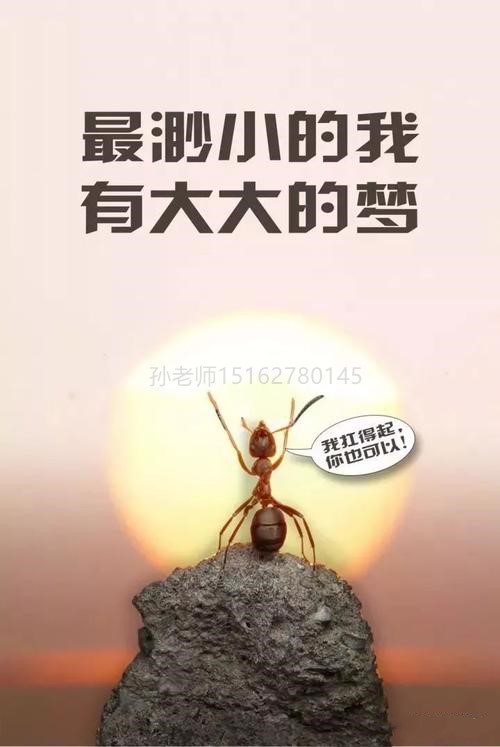 78ffd3ab76034b6fa43f50c6315f11f4.jpeg