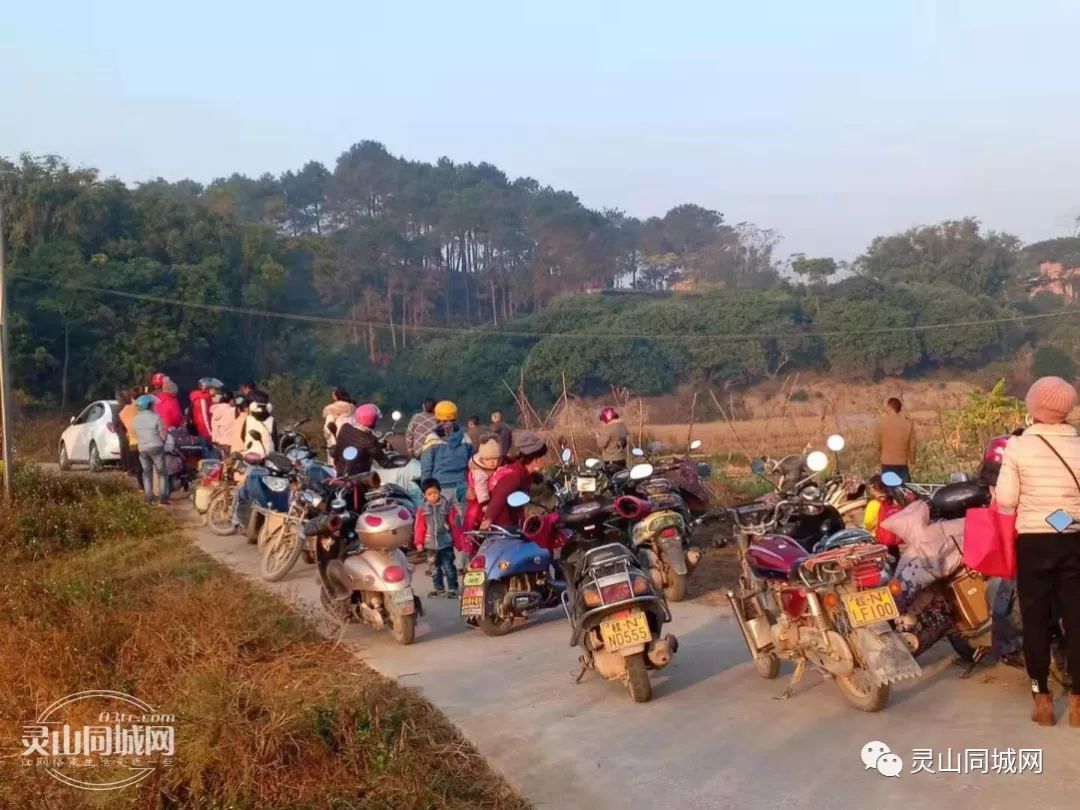 身穿红夹克,来自灵山那隆的男老师,你出名了!大家都在找你!