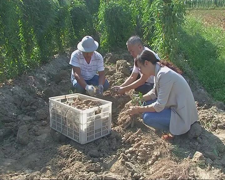 凤江镇多少人口_揭西县凤江镇林厝寮村(2)