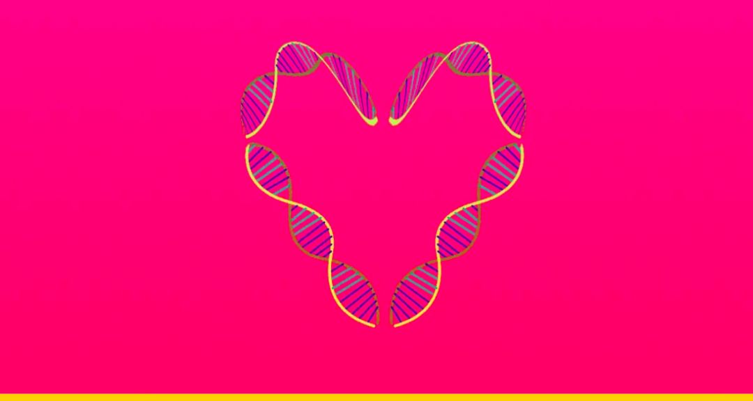 约会吗?我这里有一条祖传的 DNA