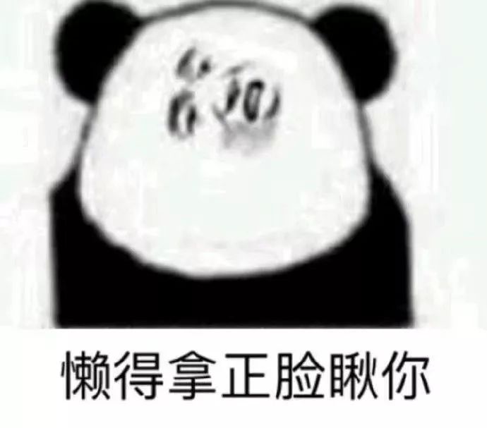 9351fa1d294f4e63a7bb7d682ed028d9.jpeg