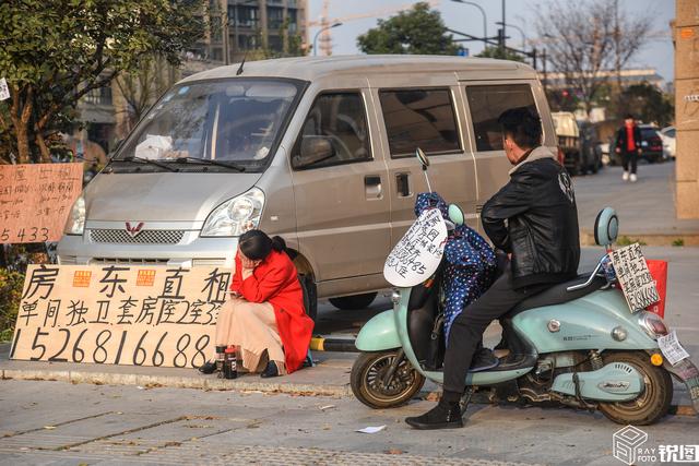 壮观！拆迁户为出租房屋 在树上挂满广告牌 但他们却很发愁OB体育(图3)