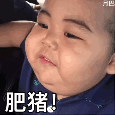 表情包 | 小胖纸