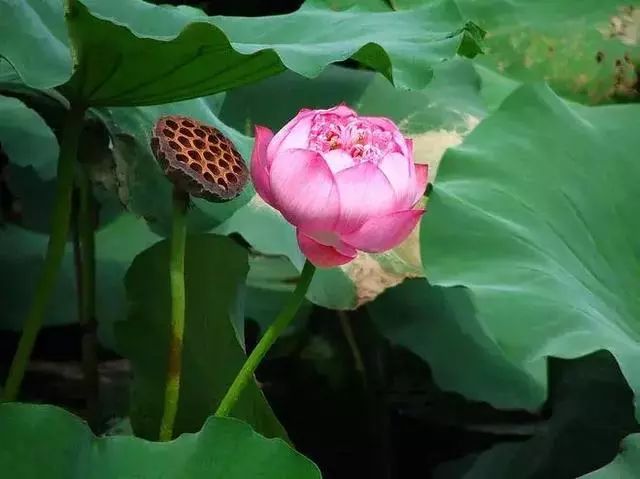 ad5d92a2202140c8a3ad87dc0c3c79fe.jpeg