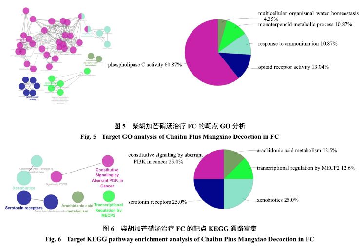 柴胡GDP