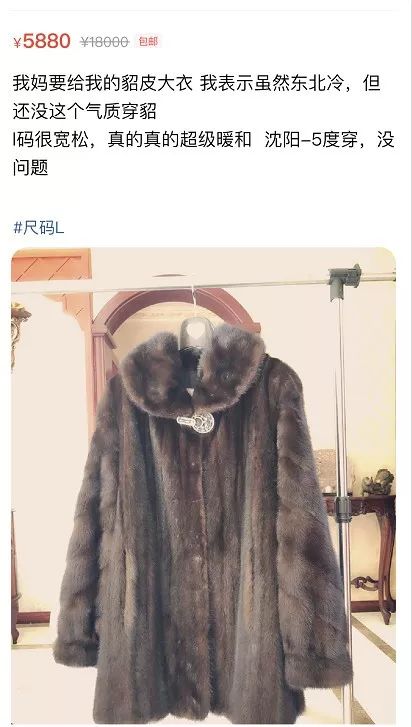 cec385b27f764167af6ed5c69213e8e7.jpeg
