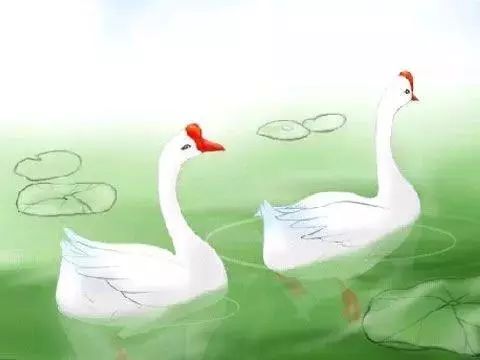 咏鹅古诗图片配图 d67366e70bce4ada877e38bbac978f04.jpeg
