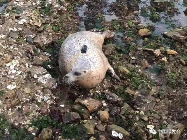 海和盗猜成语_看图猜成语(3)