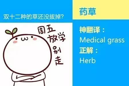 dd5c2b7be993482593f228d5bf095c40.jpeg