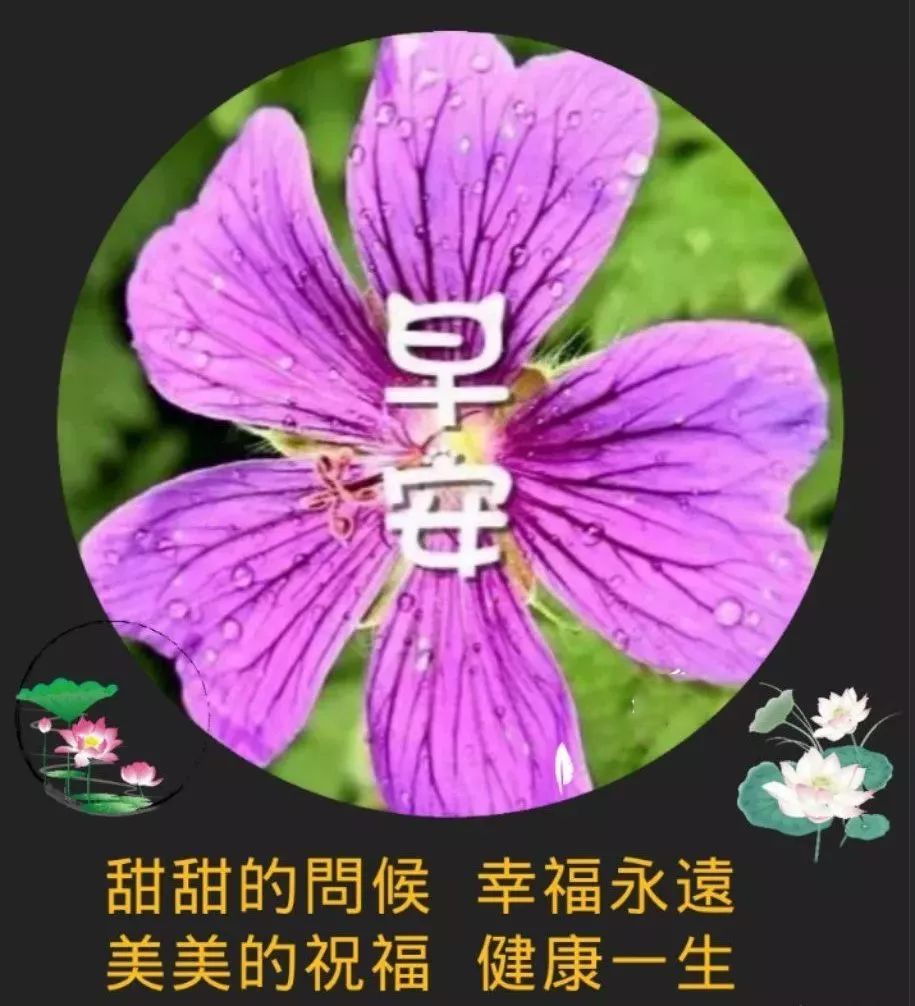 星期天最新漂亮早上好动态美图鲜花带字,早晨好幸福暖