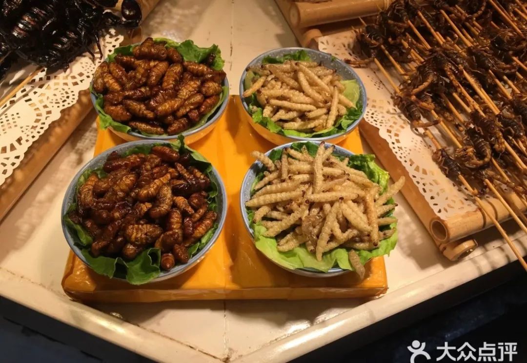 广州看了广东人的昆虫宴才知道什么叫真正的会吃