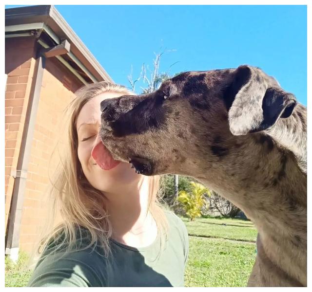 什么是舔狗式恋爱 fa1493a350524795826d601f278c5451.jpeg